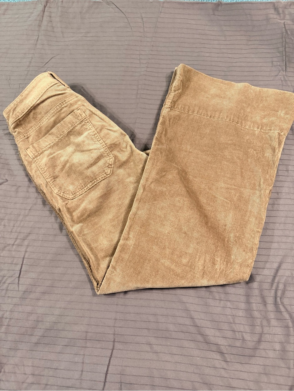 Pilcro Women's Corduroy Boot Cut Pants in Light Brown - Picture 3 of 4
